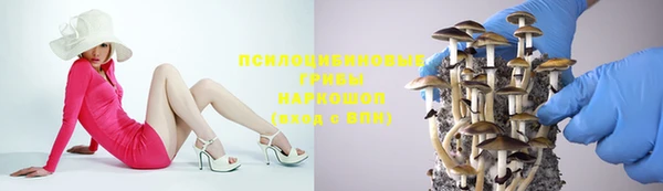 прущие крисы Арсеньев