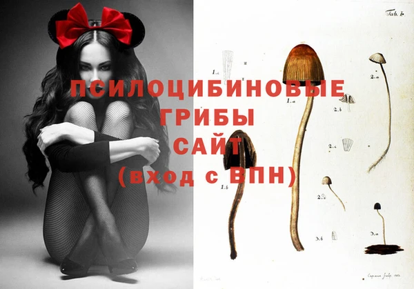 прущие крисы Арсеньев