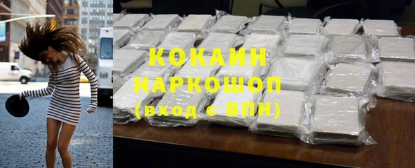 соль ск Инсар